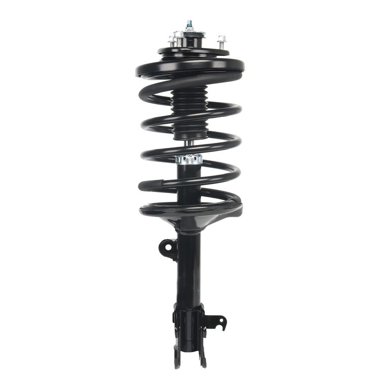 Strut Assembly