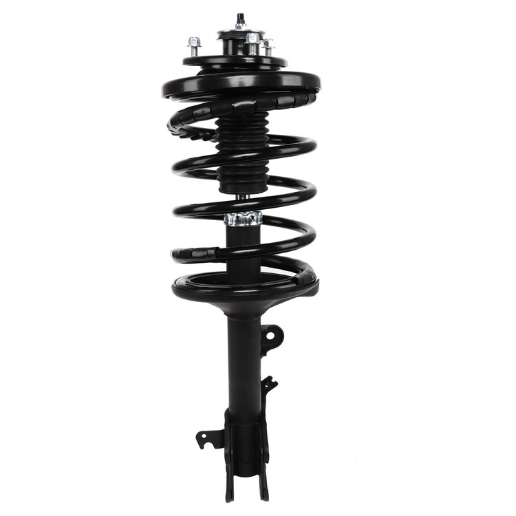 Strut Assembly