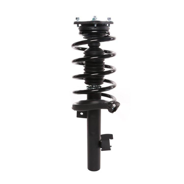 Strut Assembly