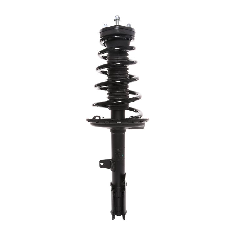 Strut Assembly