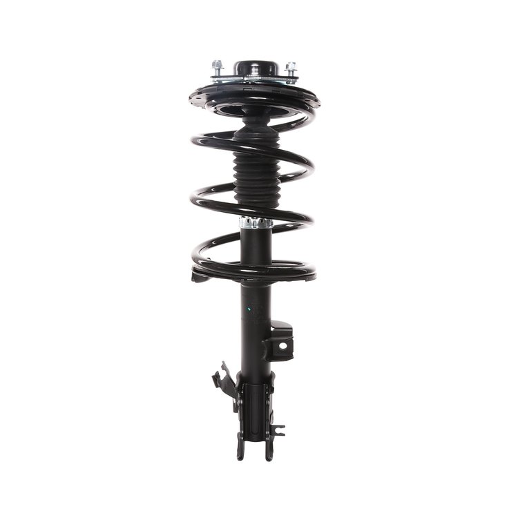 Strut Assembly