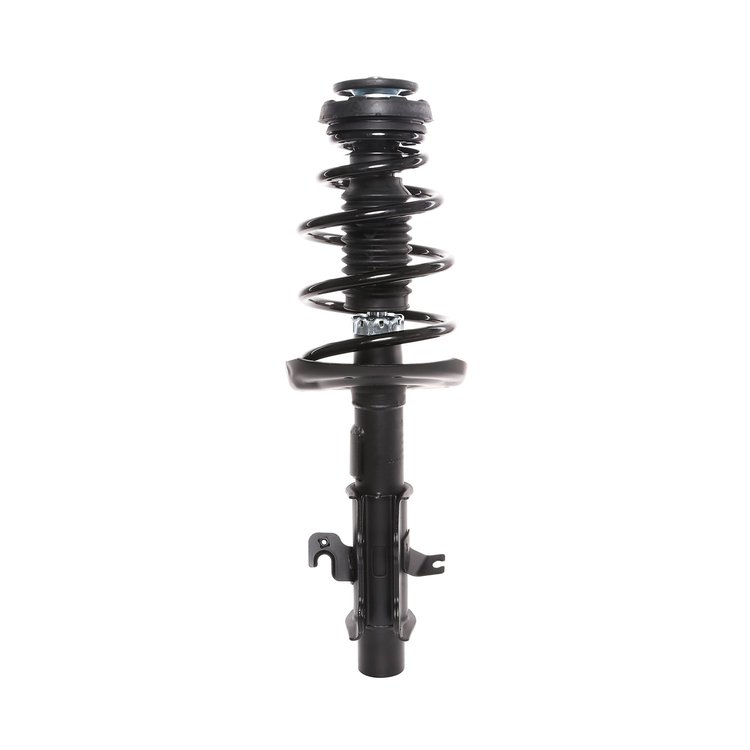 Strut Assembly