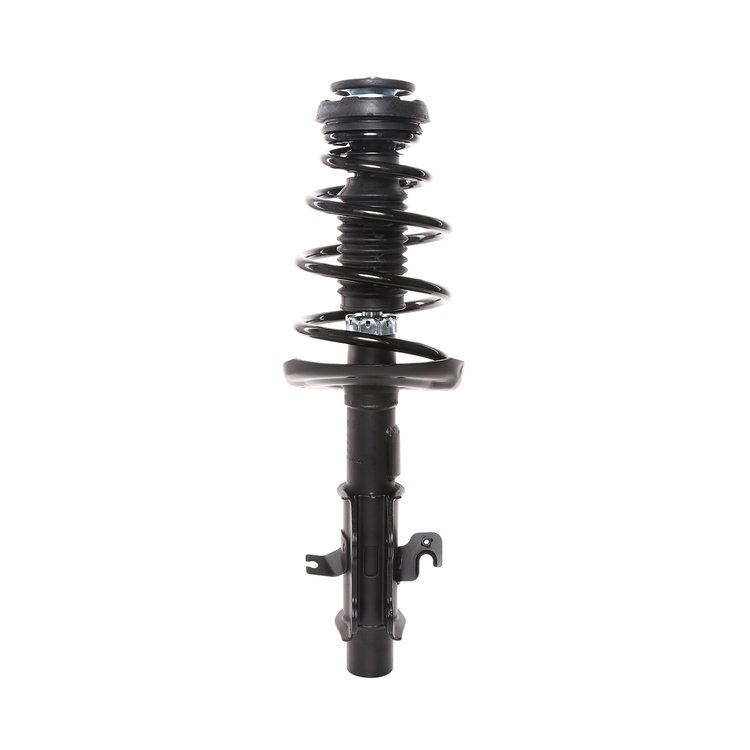 Strut Assembly