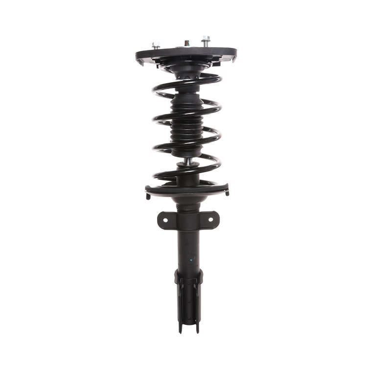 Strut Assembly