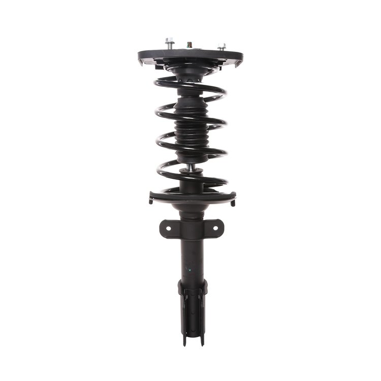 Strut Assembly