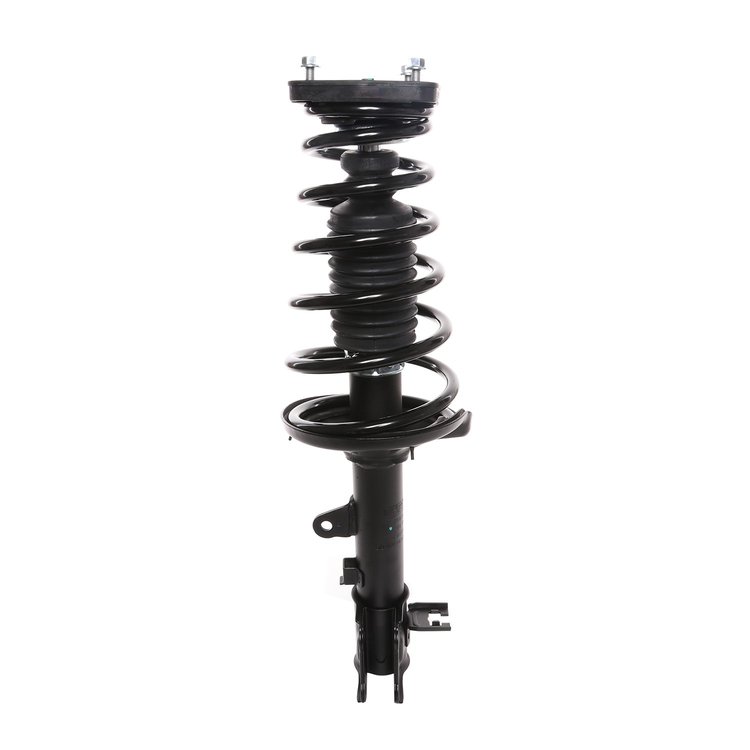 Strut Assembly