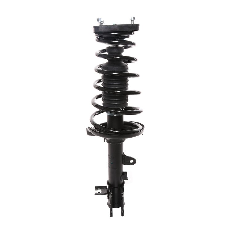 Strut Assembly