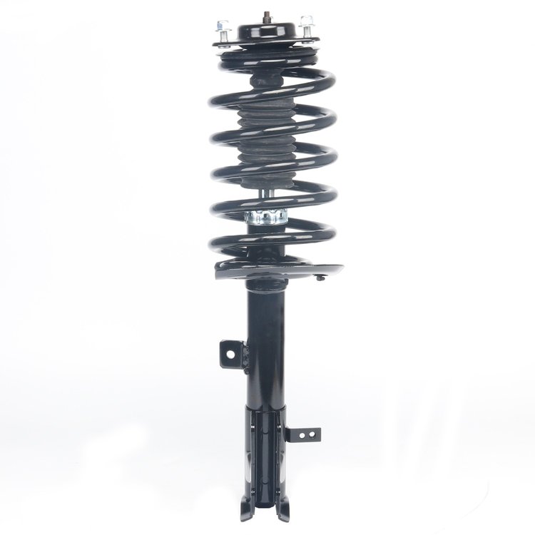 Strut Assembly
