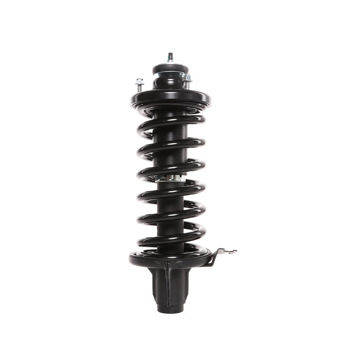 Strut Assembly