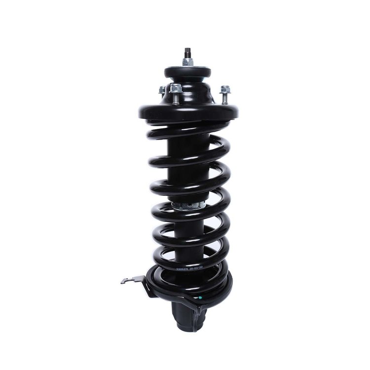Strut Assembly