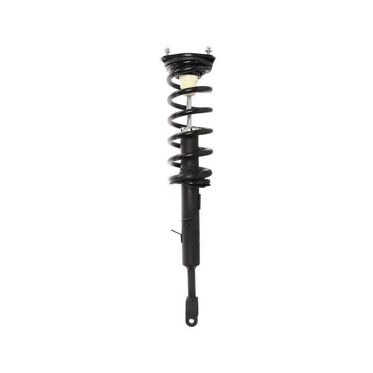 Strut Assembly
