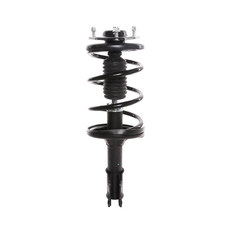 Strut Assembly