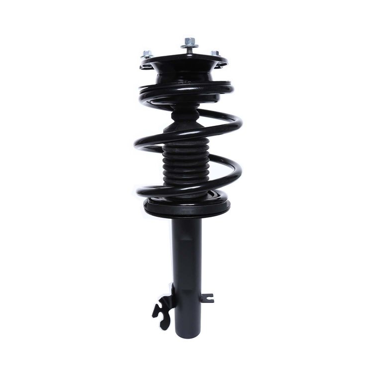 Strut Assembly
