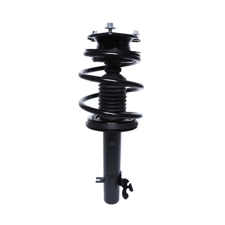 Strut Assembly