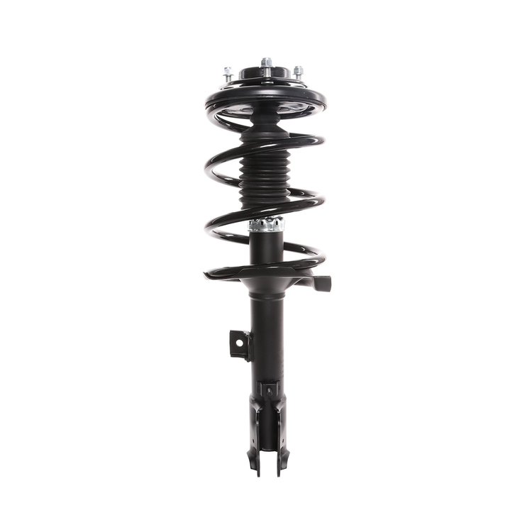 Strut Assembly