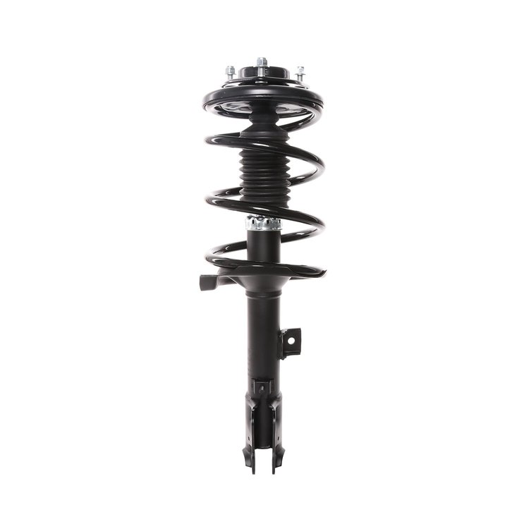 Strut Assembly