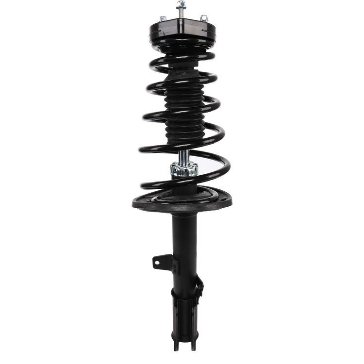 Strut Assembly