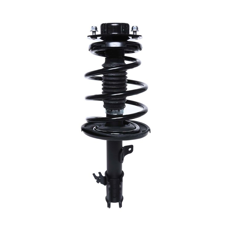 Strut Assembly