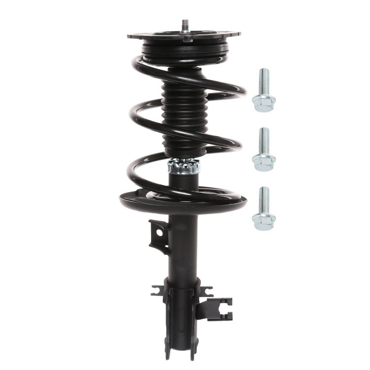 Strut Assembly