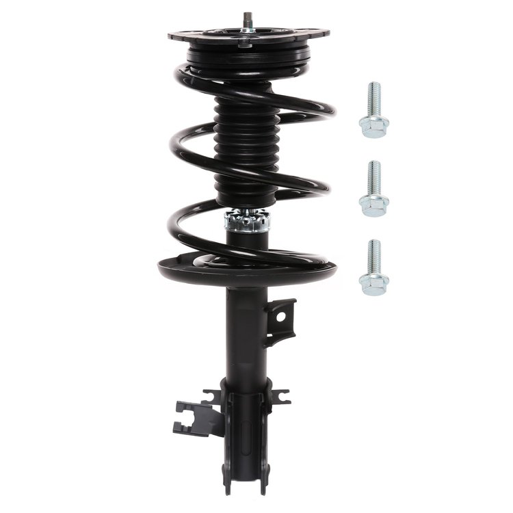 Strut Assembly