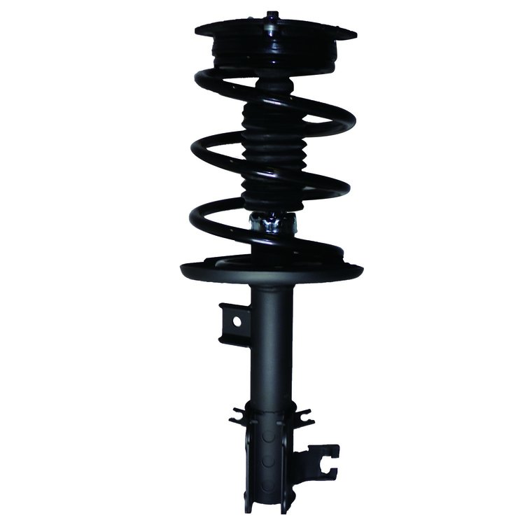Strut Assembly