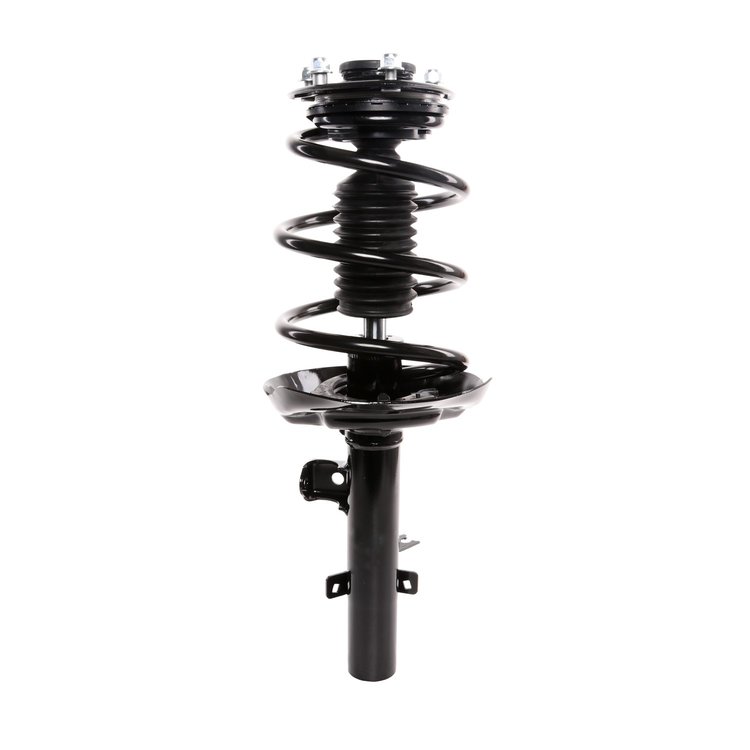 Strut Assembly