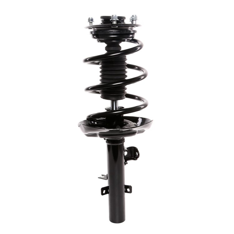 Strut Assembly