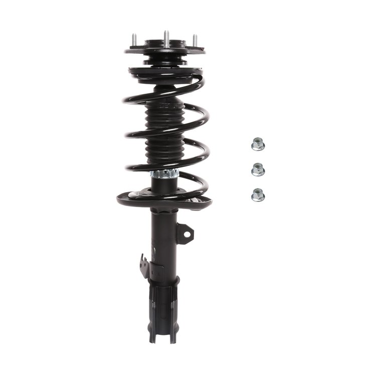 Strut Assembly