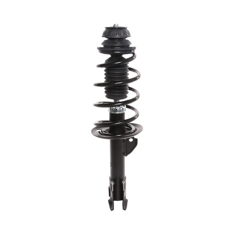 Strut Assembly