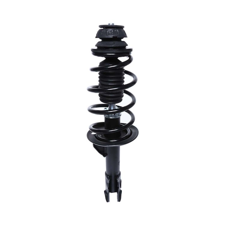 Strut Assembly