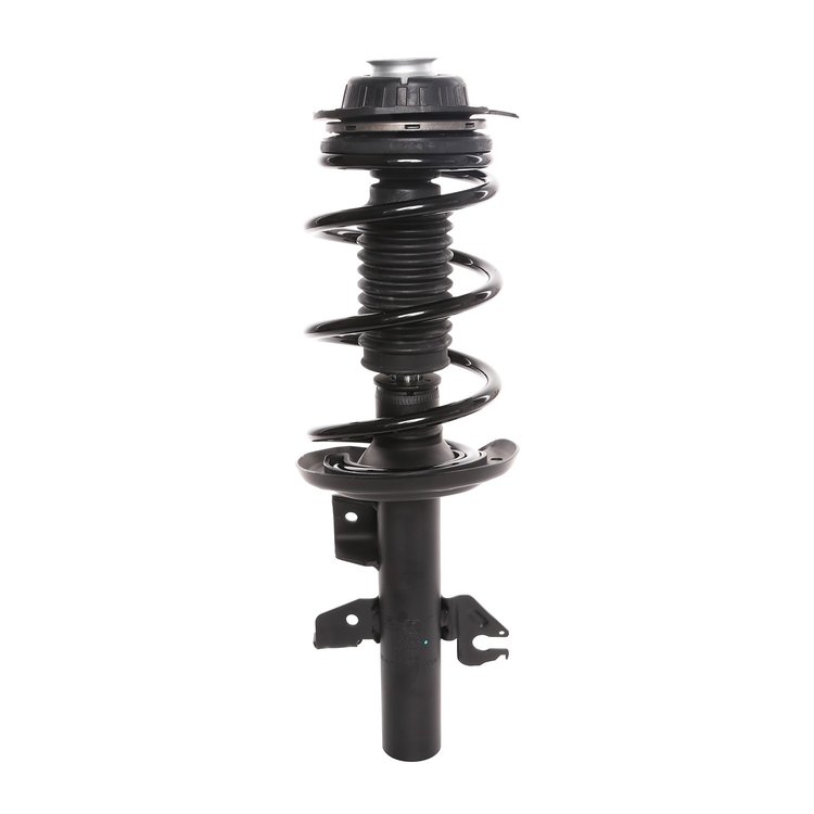 Strut Assembly