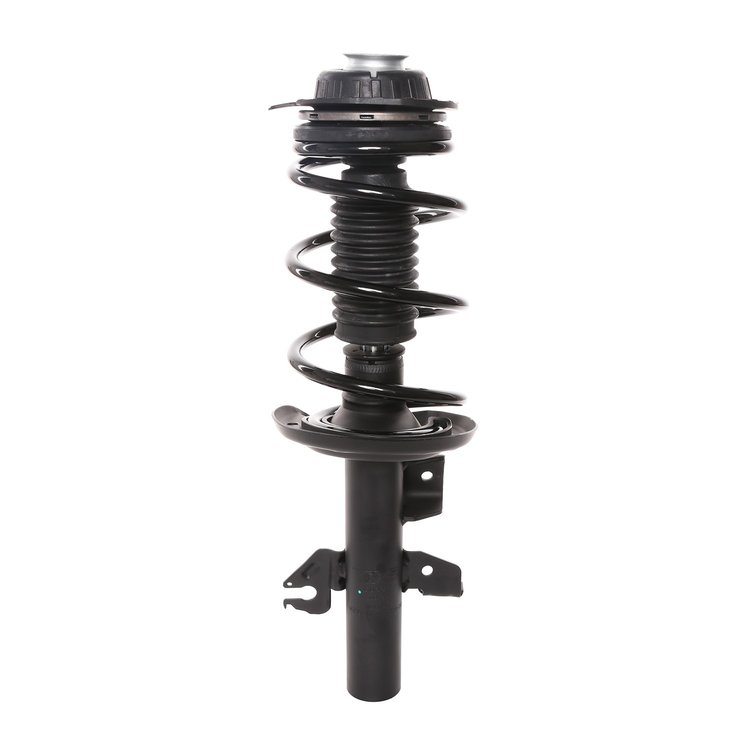 Strut Assembly