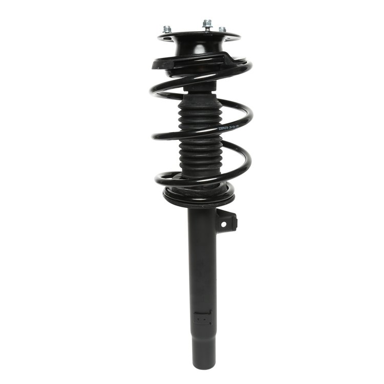 Strut Assembly