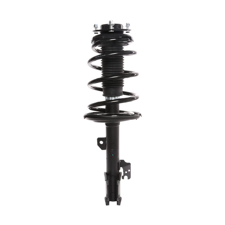 Strut Assembly
