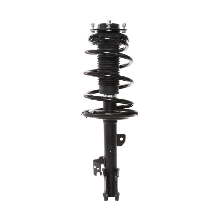 Strut Assembly