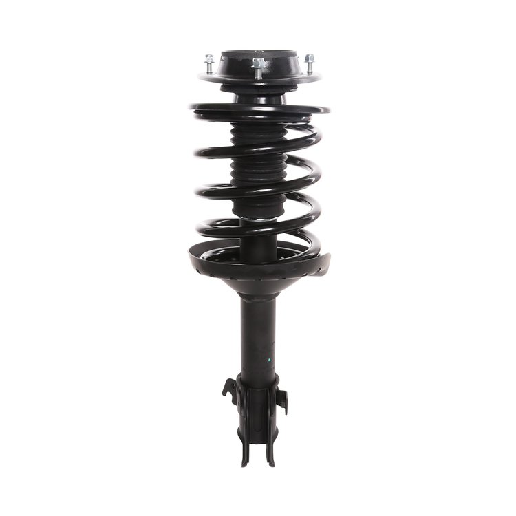 Strut Assembly