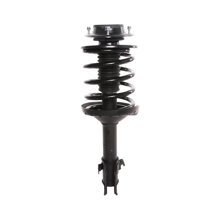 Strut Assembly
