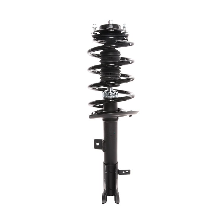 Strut Assembly