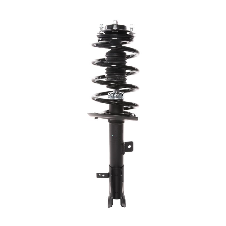 Strut Assembly