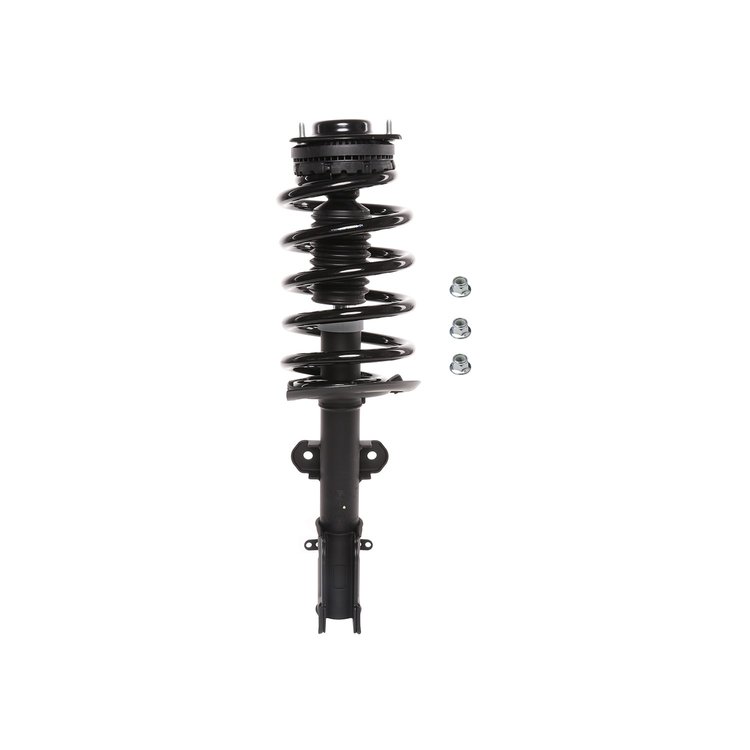 Strut Assembly