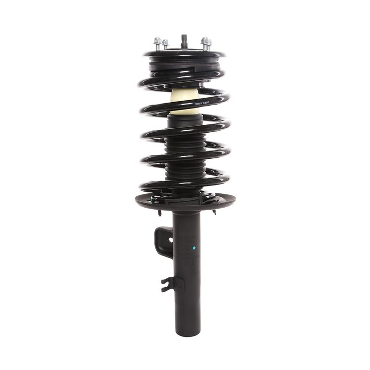 Strut Assembly
