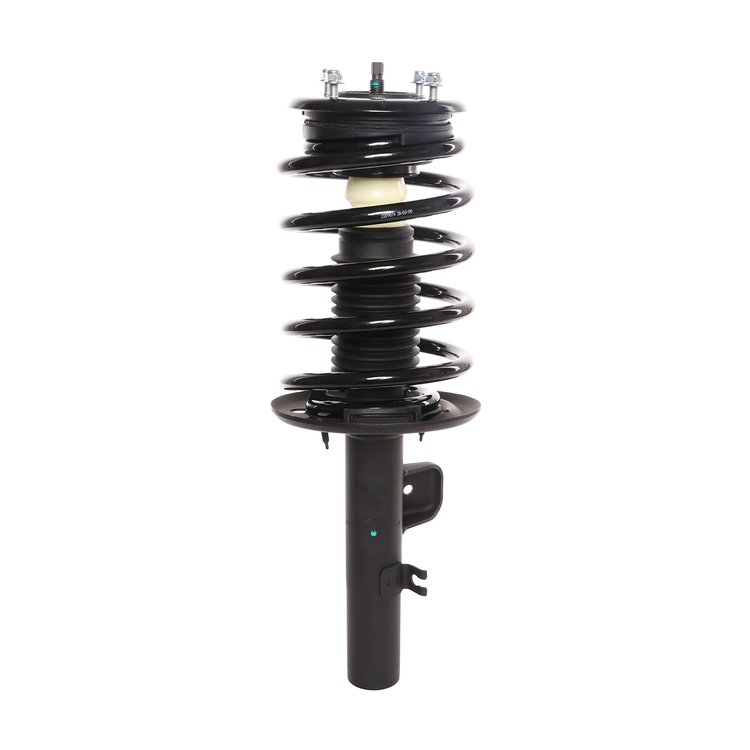 Strut Assembly