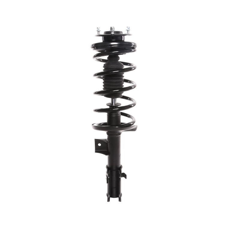Strut Assembly