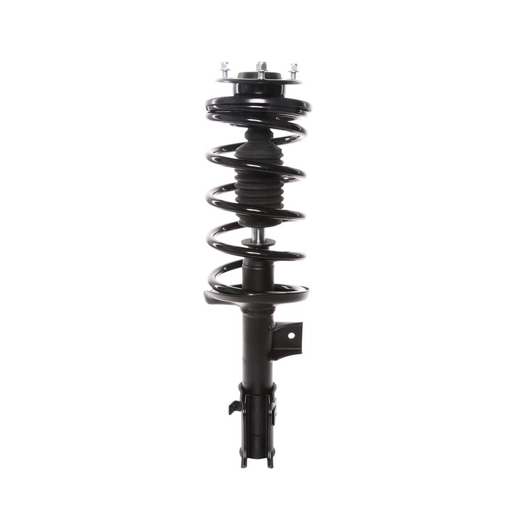 Strut Assembly