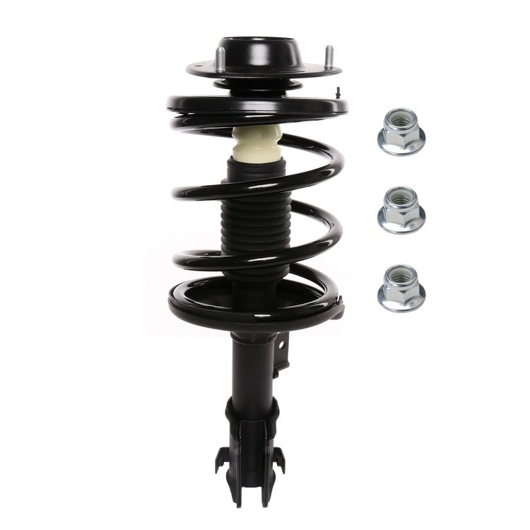 Strut Assembly