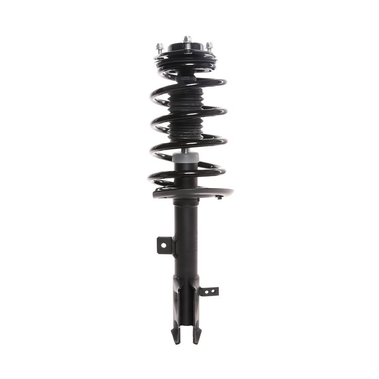 Strut Assembly