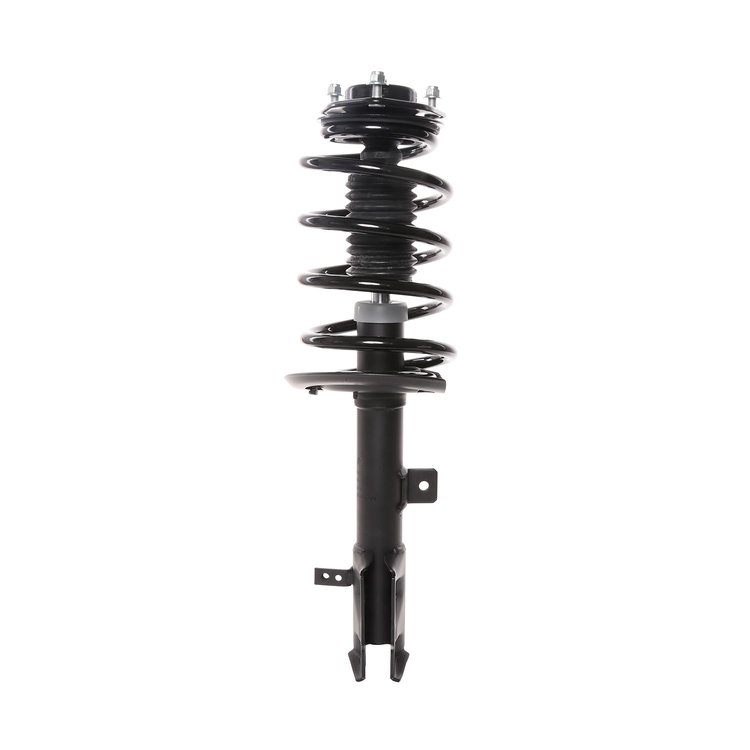 Strut Assembly