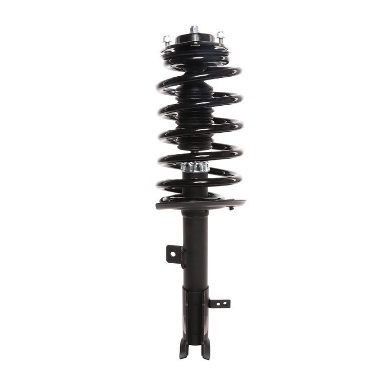 Strut Assembly