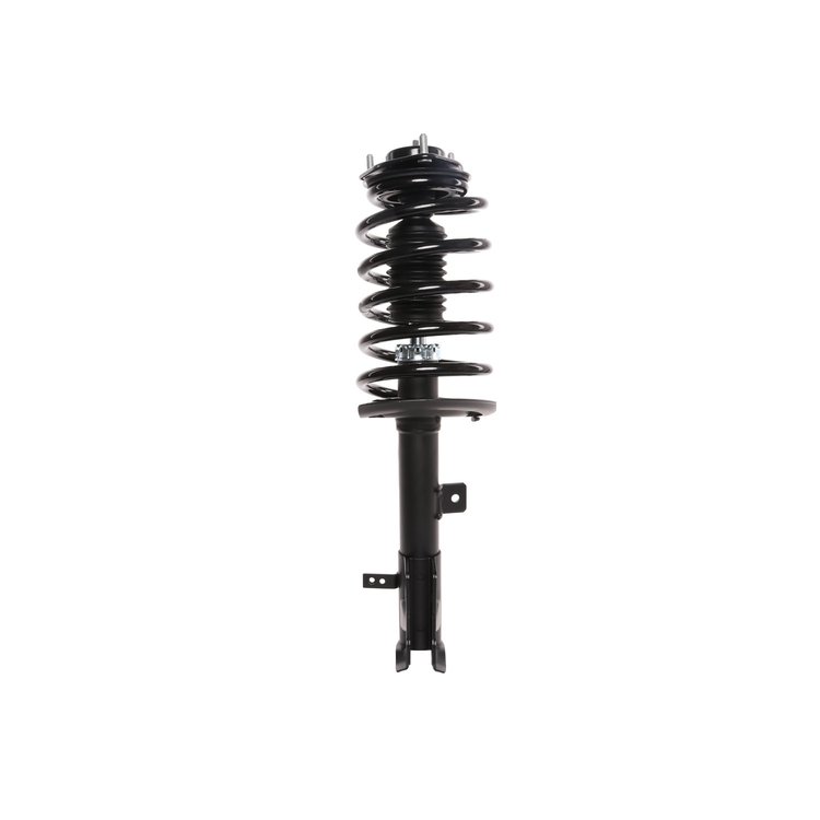 Strut Assembly