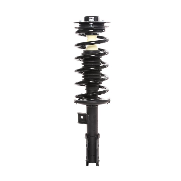 Strut Assembly